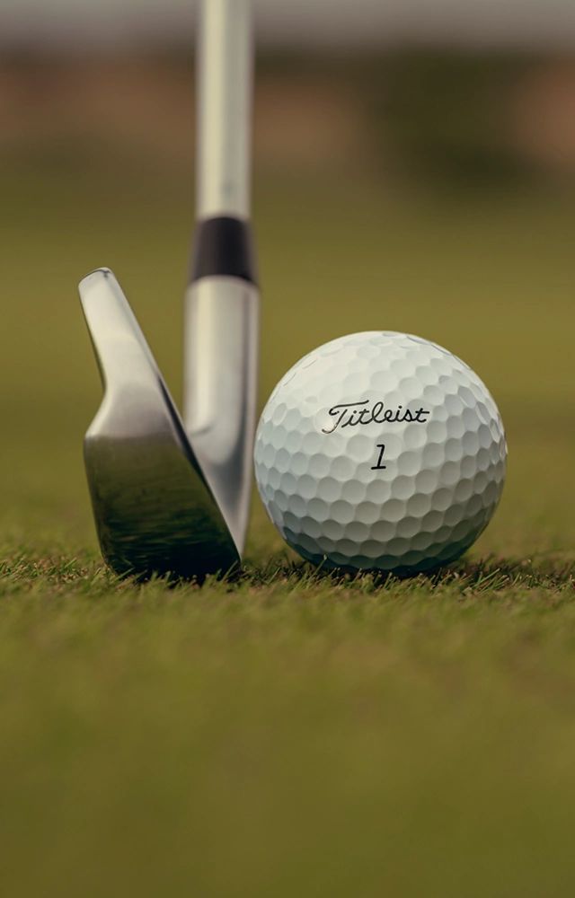 Алина Андреева