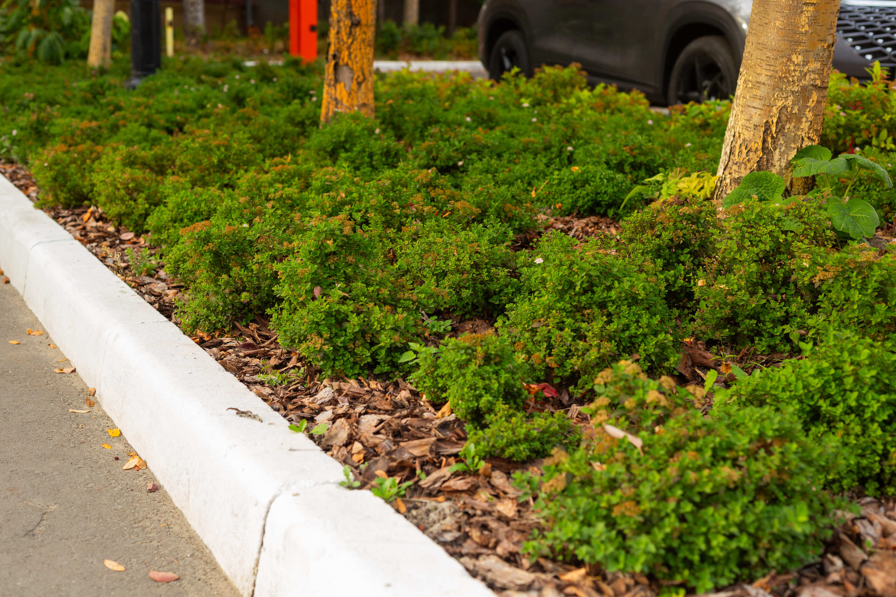 Содержание, расчистка, уборка, обслуживание мероприятий и объектов любой сложности