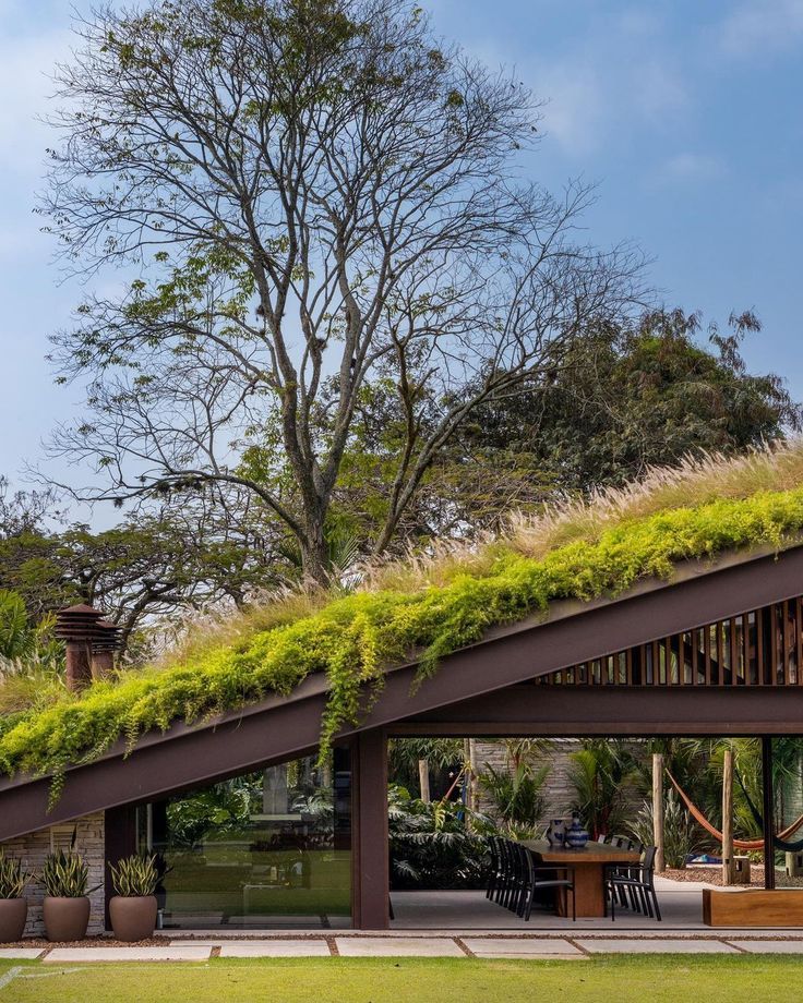 Строительство зеленых крыш и стилобатов, вертикальное озеленение, благоустройство водных объектов